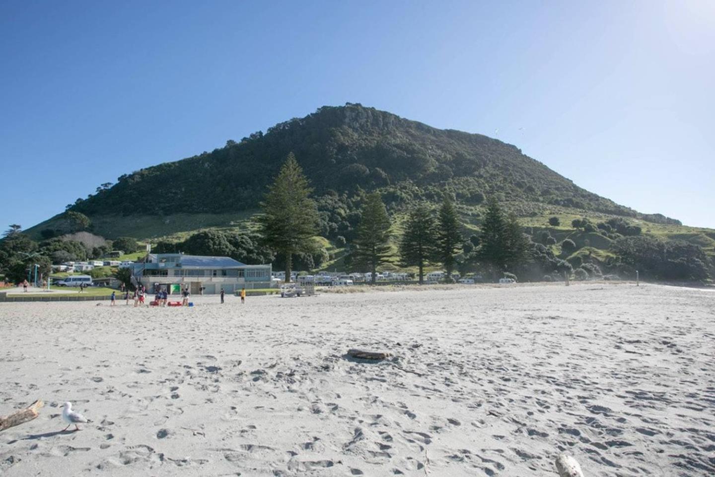 Luxury Ocean & Harbour Views - Heated Pool, Main Beach & Gym Mount Maunganui Exterior foto